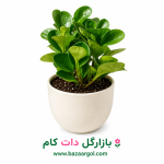 گلدان قاشقی سبز کدb803
