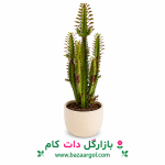 افوربیا سبز کدb808