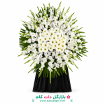 تاج گل کدb130