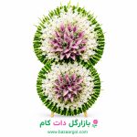 تاج گل کدb137گلایل انتریم قاشقی بنفش