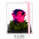 رز جاودان کد